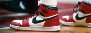 a picture of the nike air jordan shoes