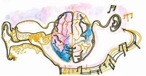 drawing of a brain and music notes in pink and yellow colours