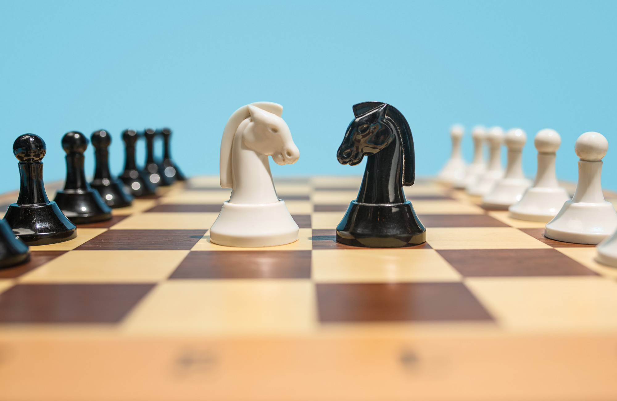 a picture of a chess board with the horse piece facing each other for branding