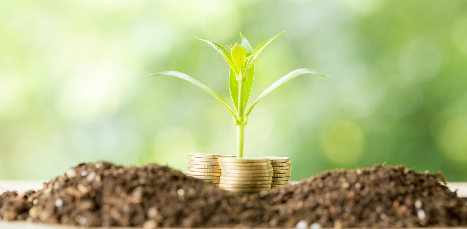 picture of coins around a sapling indicating how people are using the environment to earn profits